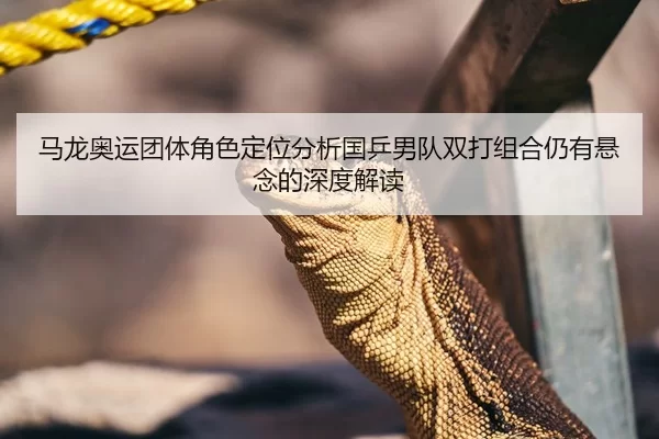 马龙奥运团体角色定位分析国乒男队双打组合仍有悬念的深度解读