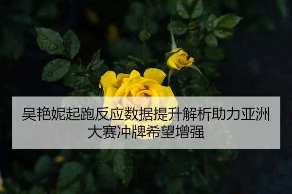 吴艳妮起跑反应数据提升解析助力亚洲大赛冲牌希望增强