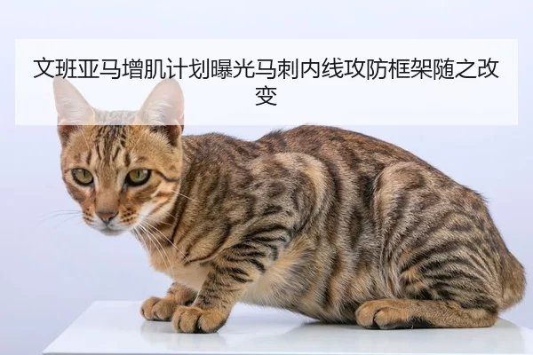 文班亚马增肌计划曝光马刺内线攻防框架随之改变