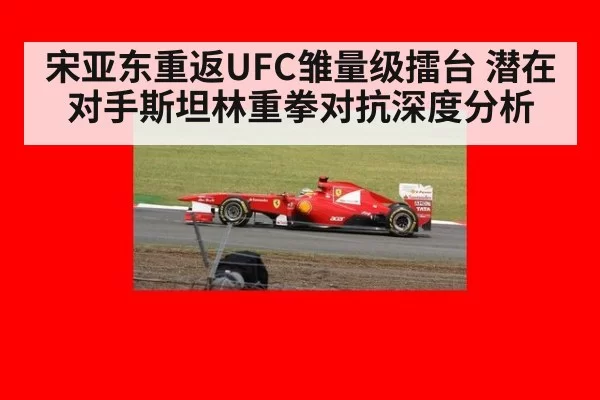宋亚东重返UFC雏量级擂台 潜在对手斯坦林重拳对抗深度分析 | leyu