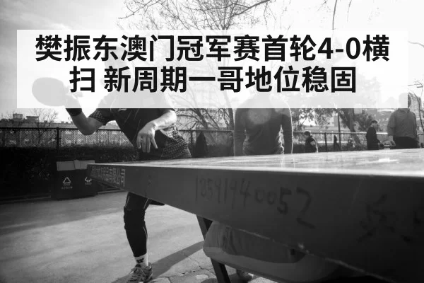 Fan Zhendong table tennis