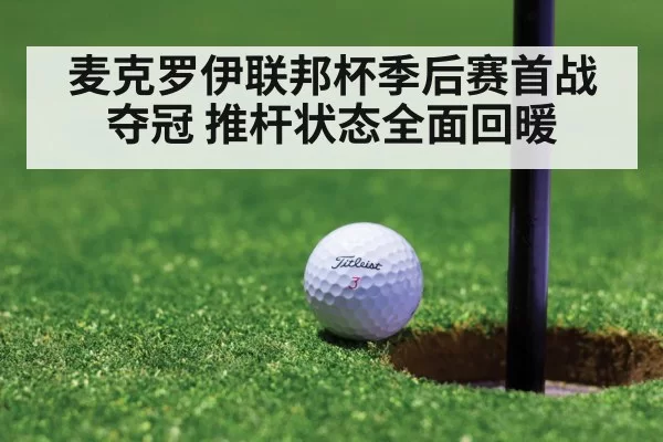 麦克罗伊联邦杯季后赛首战夺冠 推杆状态全面回暖 | leyu